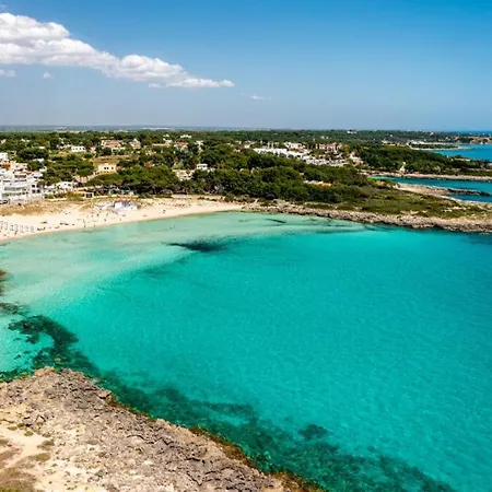 Montedarena